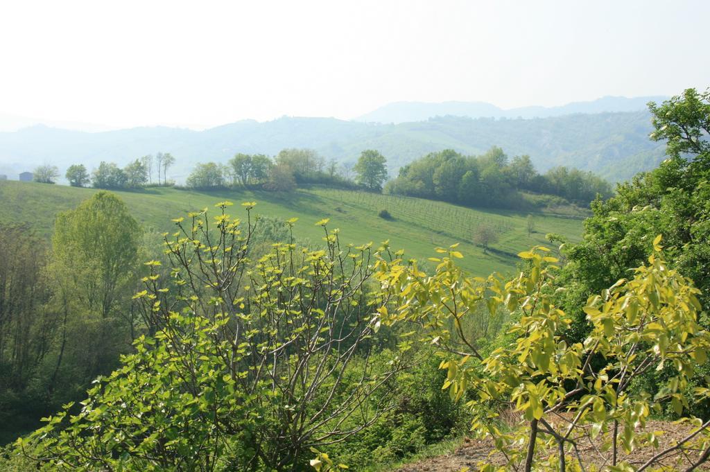 Casa Dell' Abbondanza B&B Agriturismo Vigoleno Εξωτερικό φωτογραφία