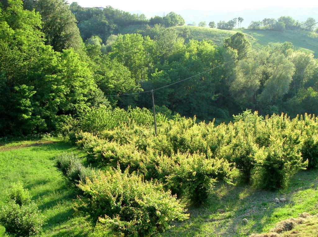 Casa Dell' Abbondanza B&B Agriturismo Vigoleno Δωμάτιο φωτογραφία