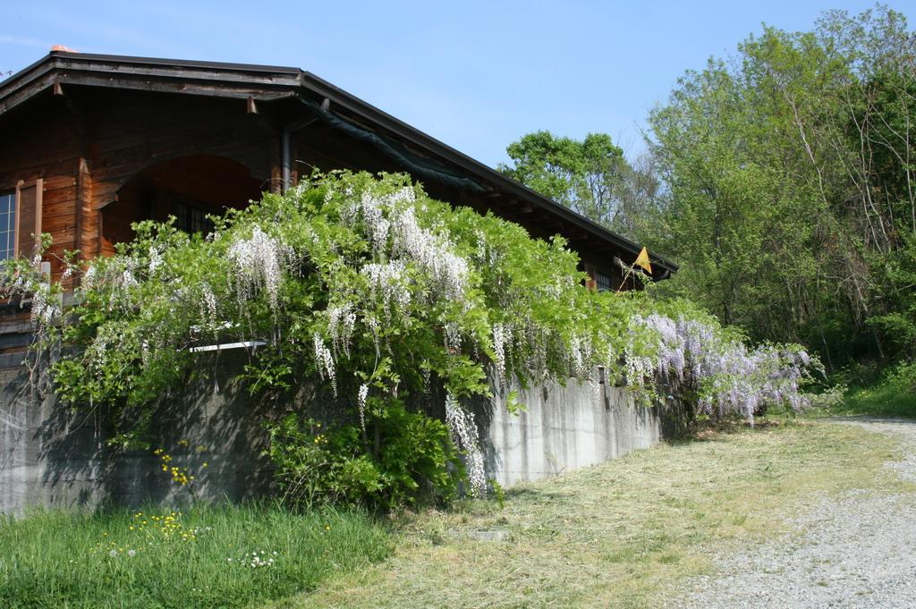 Casa Dell' Abbondanza B&B Agriturismo Vigoleno Εξωτερικό φωτογραφία