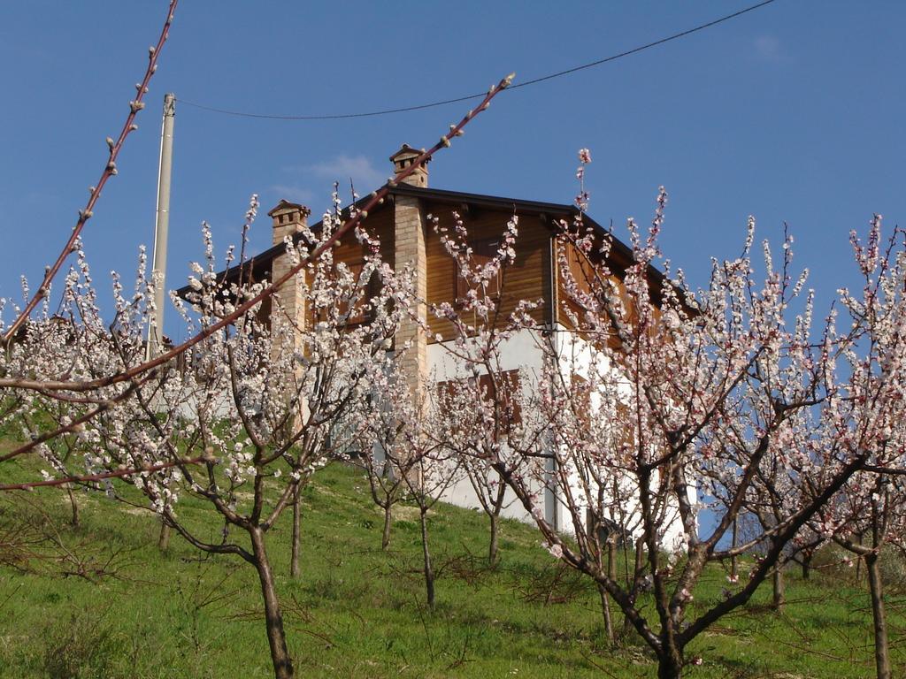 Casa Dell' Abbondanza B&B Agriturismo Vigoleno Εξωτερικό φωτογραφία