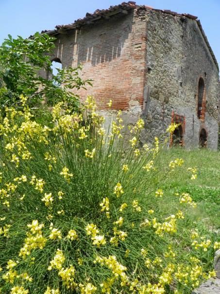 Casa Dell' Abbondanza B&B Agriturismo Vigoleno Εξωτερικό φωτογραφία