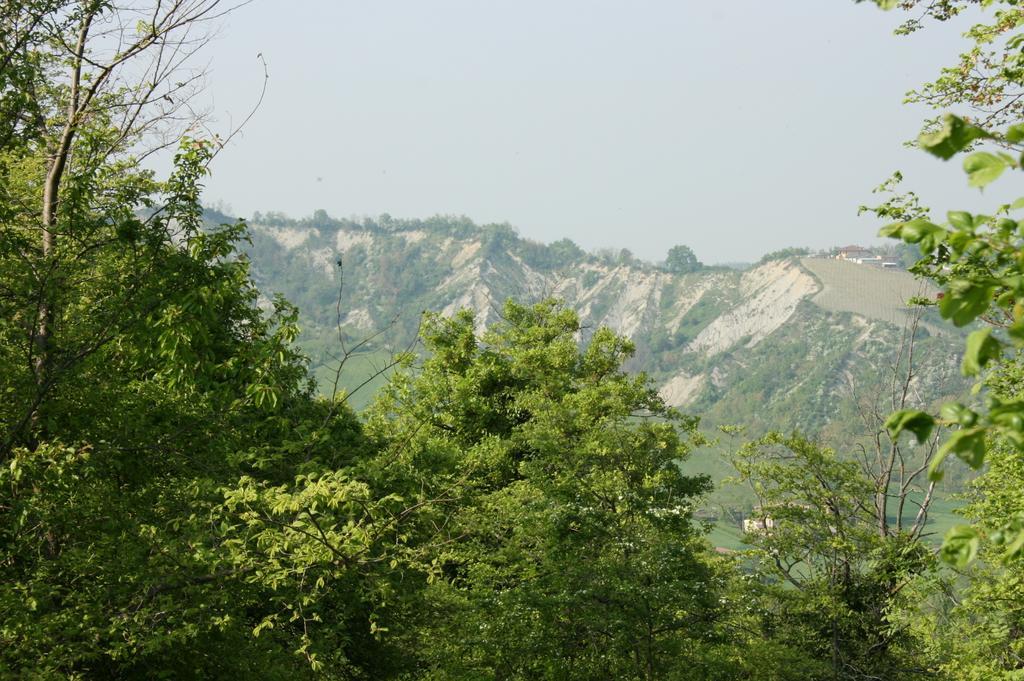 Casa Dell' Abbondanza B&B Agriturismo Vigoleno Εξωτερικό φωτογραφία